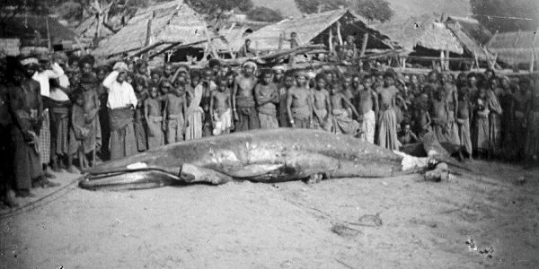 503683212_4126900174218226_8866471975908891845_n