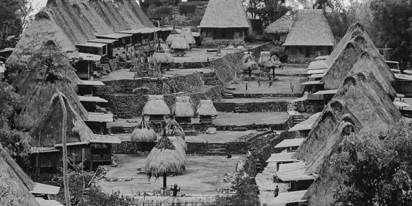 507489981_683281774691213_5076626122180338279_n