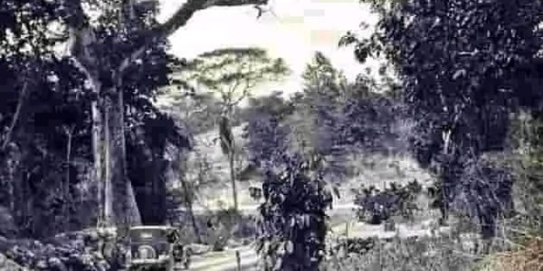 512686906_122241176810069056_4139479302827432705_n