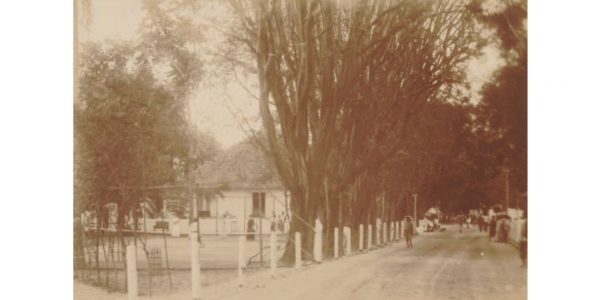 513954299_694122540273803_76351492238297727_n