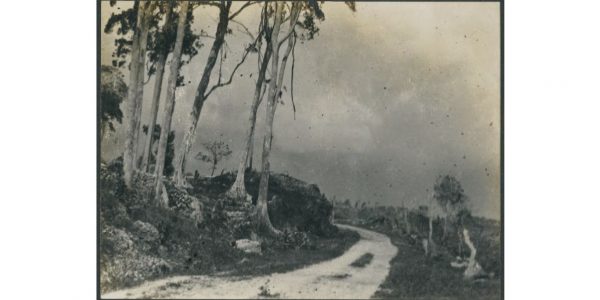 515443817_698169113202479_8131339788146887323_n