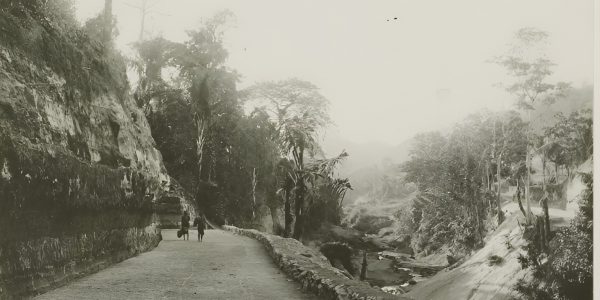 516009064_700314642987926_6755049156804940053_n