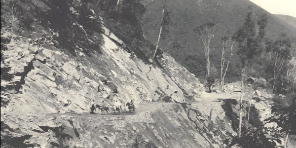 516870627_700314656321258_8161726689962360606_n