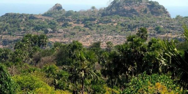 BUKIT LEDE KETITA DI RAIJUA, TEMPAT TINGGAL MADJAPAHIT