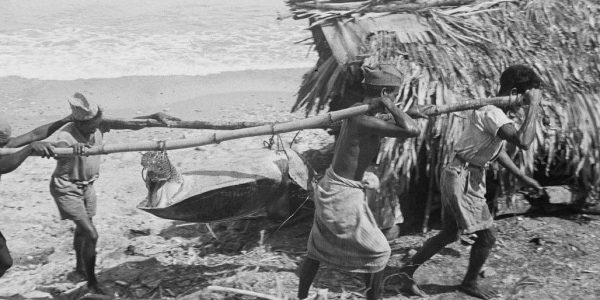 Beberapa nelayan mengangkut penyu (bahasa Kupang KEA) yang cukup besar disalah satu pantai di Kota Kupang tahun 1949