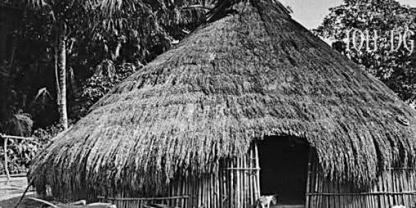 Potret bangunan rumah di daerah Camplong,Timor Nusa Tenggara Timur. Foto tahun 1921