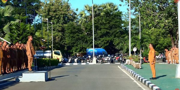 FOTO_3